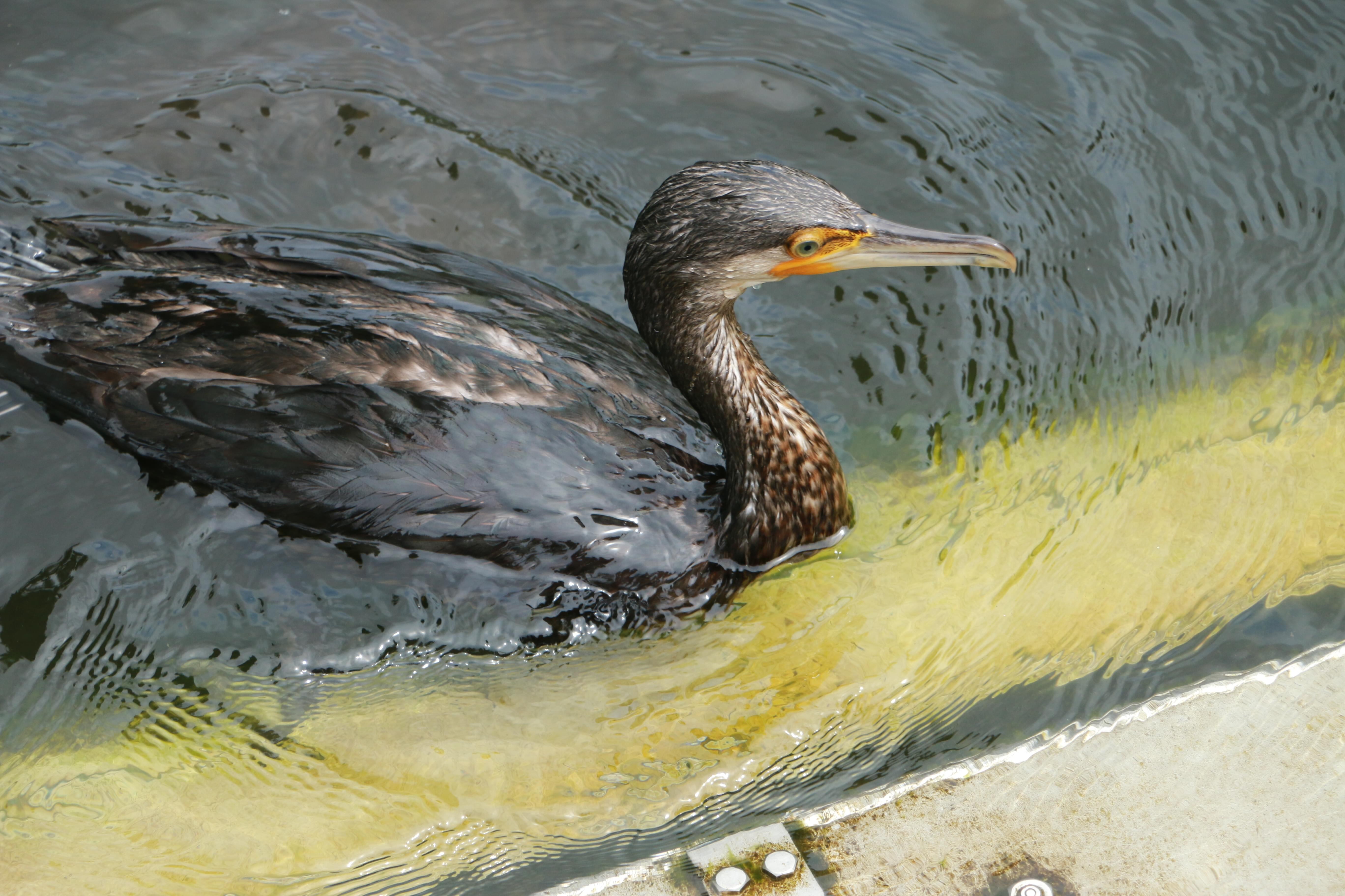 为什么你们都照我!